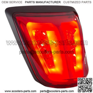 Rear Light LED