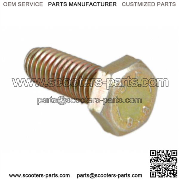 Screw securing plate bolt spring attachment M6x14 mm, hexagonal