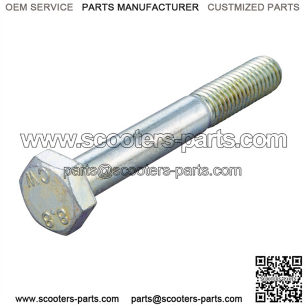 Screw shock absorber/engine casing M10x75 mm, hexagonal, rear