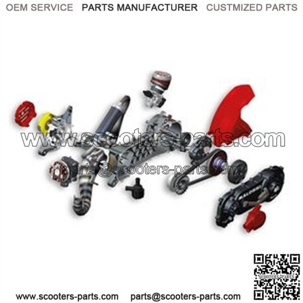 Engine MALOSSI 94cc RC-One